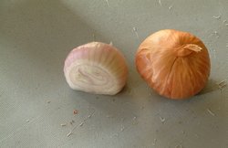 Shallot bulbs