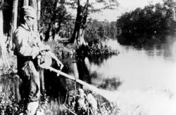 In 1958, The National Malaria Eradication Program implemented the wide-scale use of DDT for mosquito control.
