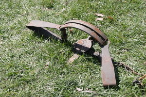 Leghold trap, sprung position