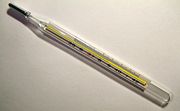 A clinical mercury thermometer