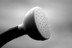 A "rose" spout attachment.