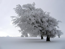 In many parts of the world, winter is associated with snow.